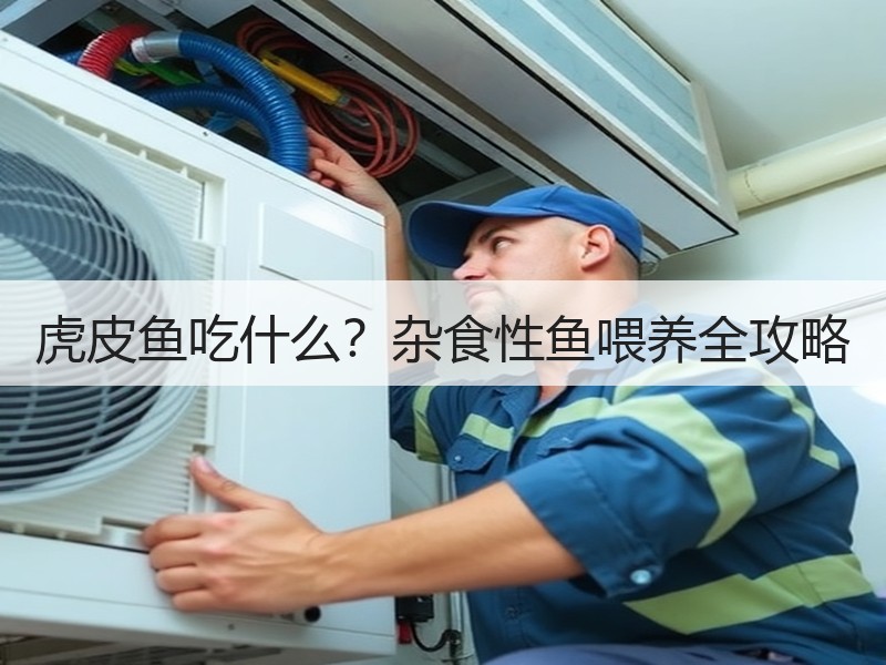虎皮鱼吃什么？杂食性鱼喂养全攻略