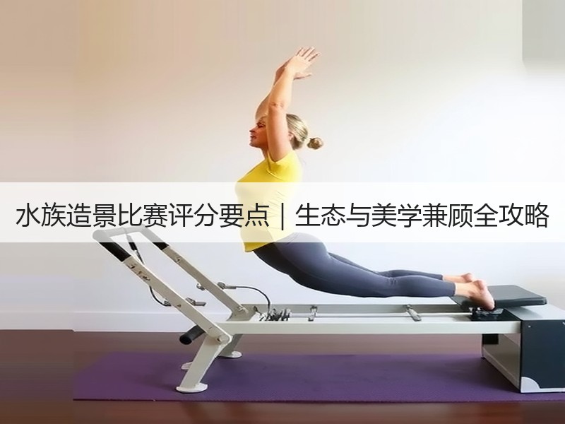 水族造景比赛评分要点｜生态与美学兼顾全攻