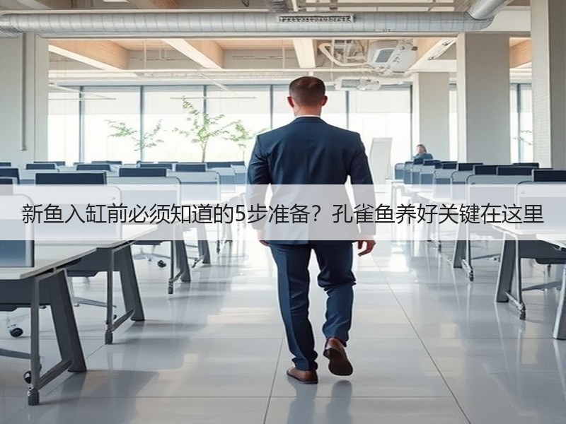 新鱼入缸前必须知道的5步准备？孔雀鱼养好