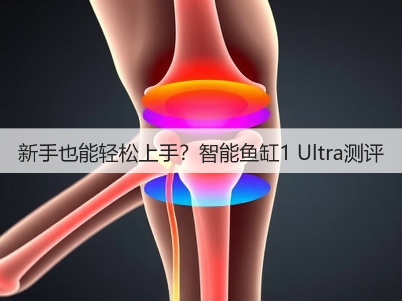 新手也能轻松上手？智能鱼缸1 Ultra
