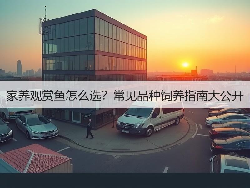 家养观赏鱼怎么选？常见品种饲养指南大公开