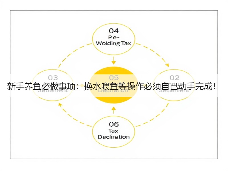 新手养鱼必做事项：换水喂鱼等操作必须自己