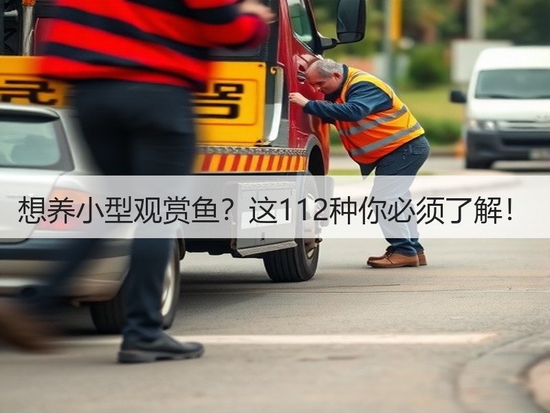 想养小型观赏鱼？这112种你必须了解！