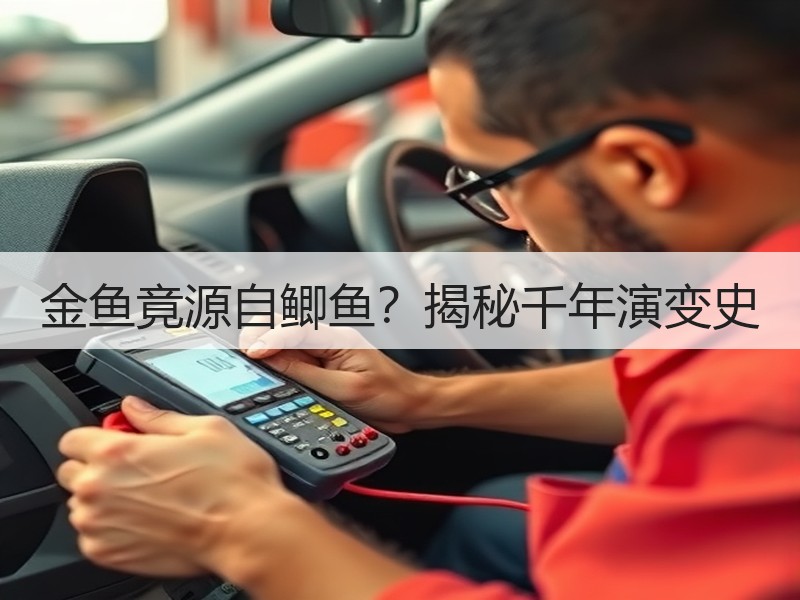 金鱼竟源自鲫鱼？揭秘千年演变史