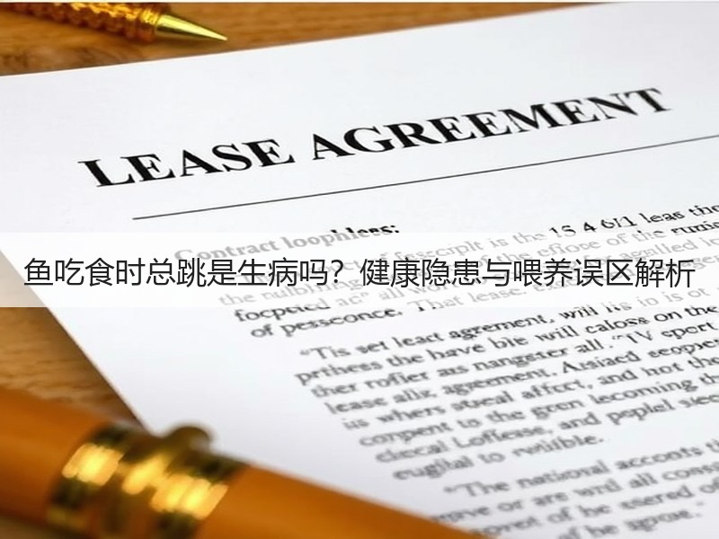 鱼吃食时总跳是生病吗？健康隐患与喂养误区