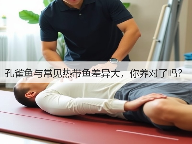 孔雀鱼与常见热带鱼差异大，你养对了吗？