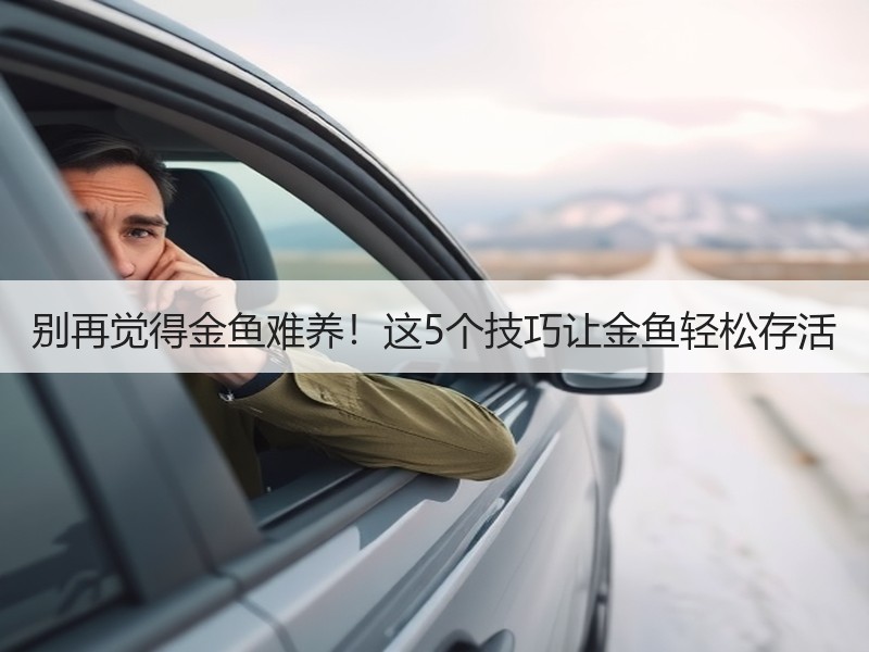 别再觉得金鱼难养！这5个技巧让金鱼轻松存