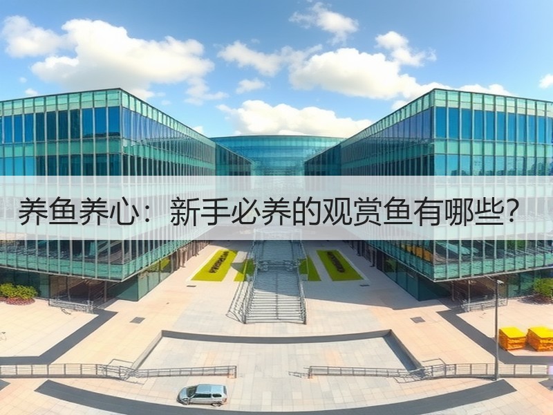 养鱼养心：新手必养的观赏鱼有哪些？