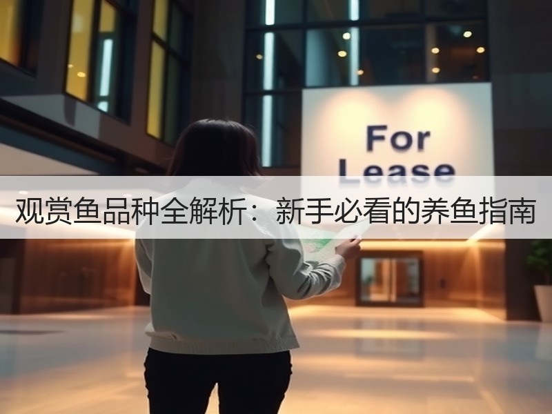 观赏鱼品种全解析：新手必看的养鱼指南