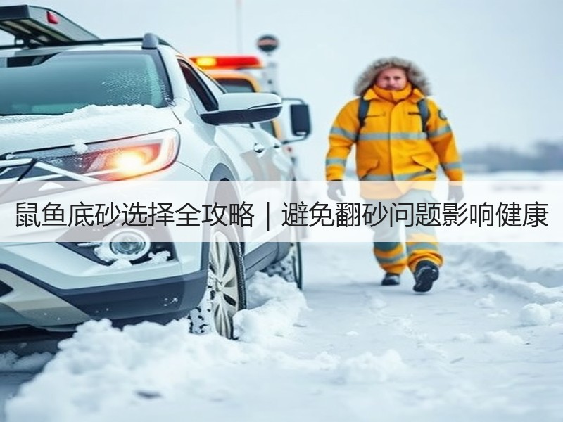 鼠鱼底砂选择全攻略｜避免翻砂问题影响健康
