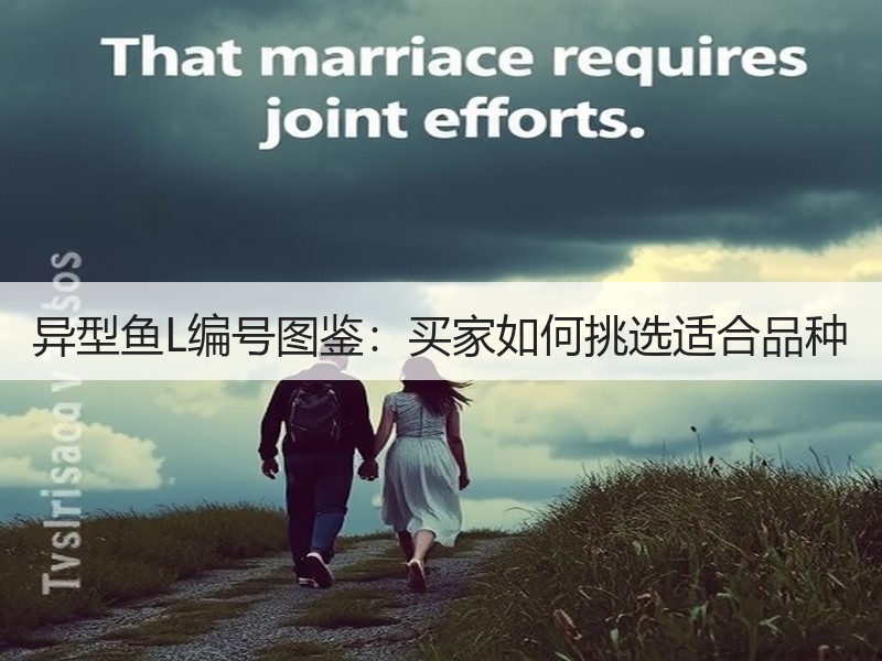 异型鱼L编号图鉴：买家如何挑选适合品种