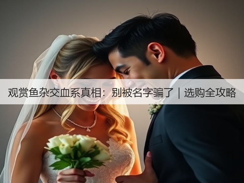 观赏鱼杂交血系真相：别被名字骗了｜选购全