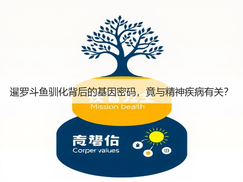 暹罗斗鱼驯化背后的基因密码，竟与精神疾病