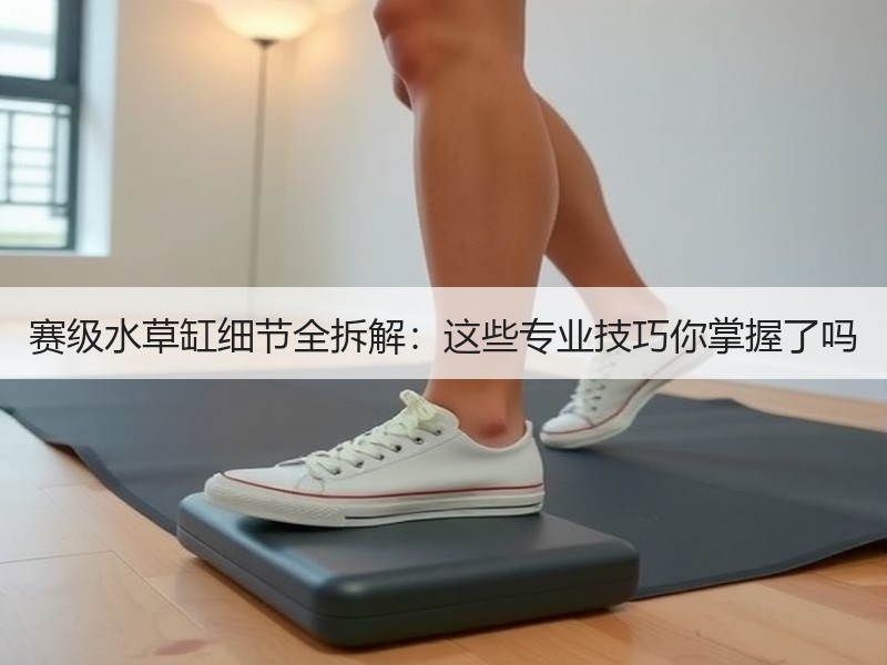 赛级水草缸细节全拆解：这些专业技巧你掌握