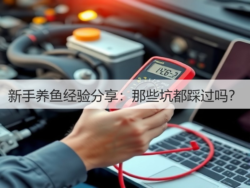 新手养鱼经验分享：那些坑都踩过吗？