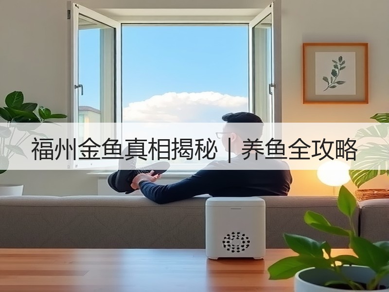 福州金鱼真相揭秘｜养鱼全攻略