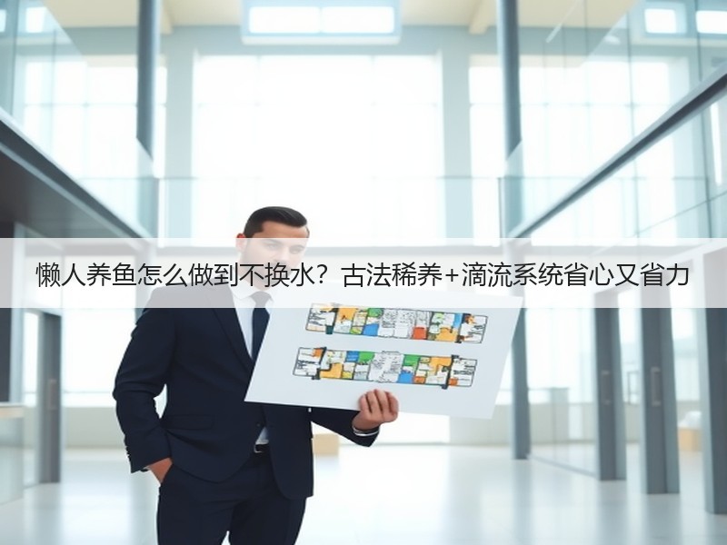 懒人养鱼怎么做到不换水？古法稀养+滴流系
