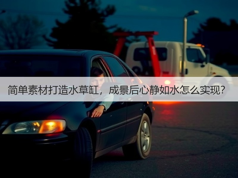 简单素材打造水草缸，成景后心静如水怎么实