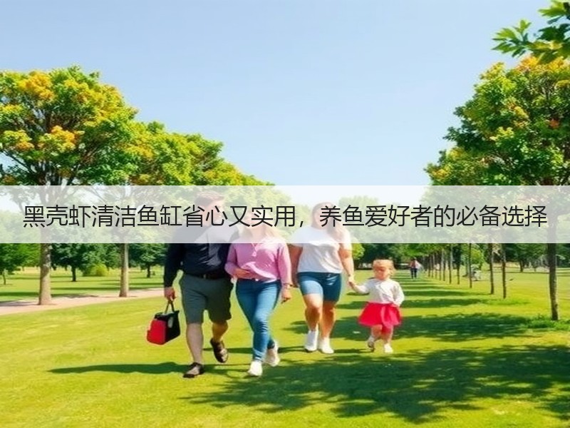 黑壳虾清洁鱼缸省心又实用，养鱼爱好者的必