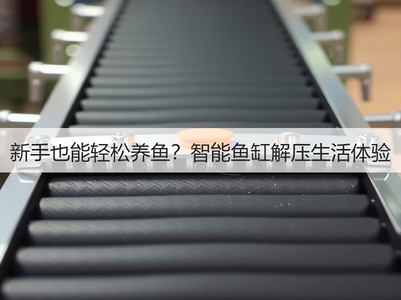 新手也能轻松养鱼？智能鱼缸解压生活体验