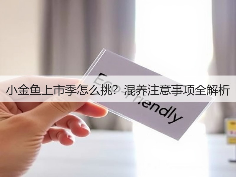 小金鱼上市季怎么挑？混养注意事项全解析