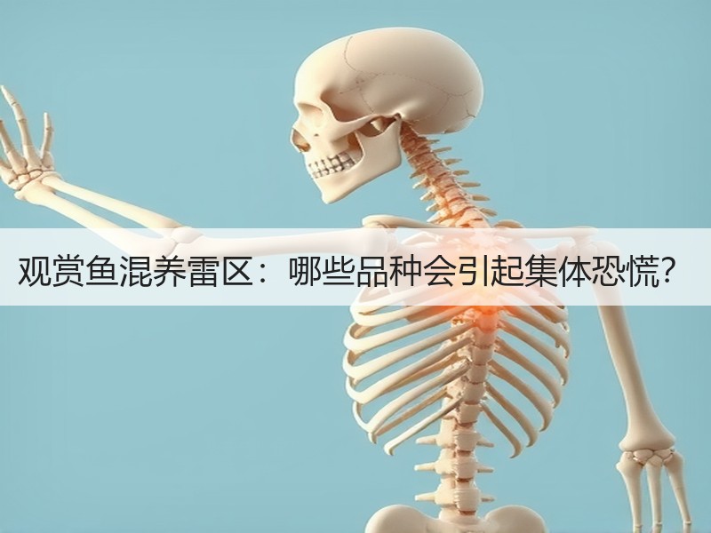 观赏鱼混养雷区：哪些品种会引起集体恐慌？