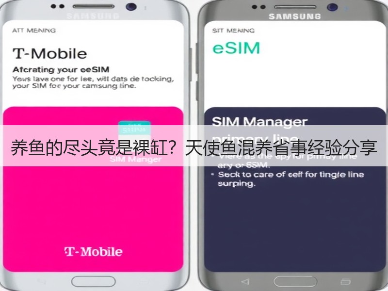 养鱼的尽头竟是裸缸？天使鱼混养省事经验分