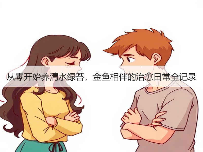 从零开始养清水绿苔，金鱼相伴的治愈日常全