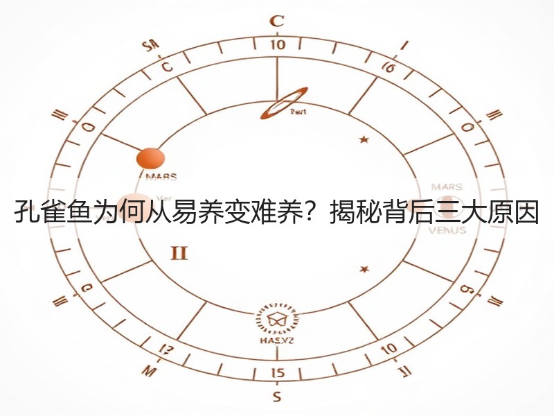 孔雀鱼为何从易养变难养？揭秘背后三大原因
