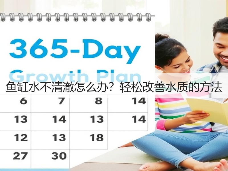 鱼缸水不清澈怎么办？轻松改善水质的方法