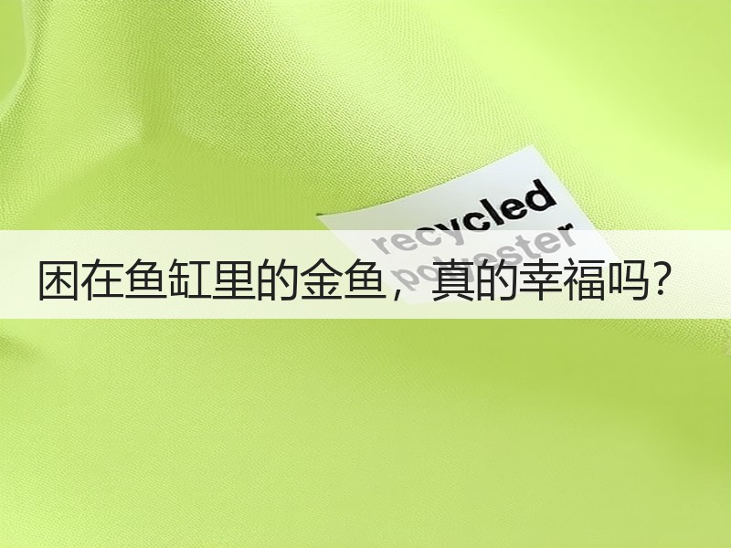 困在鱼缸里的金鱼，真的幸福吗？
