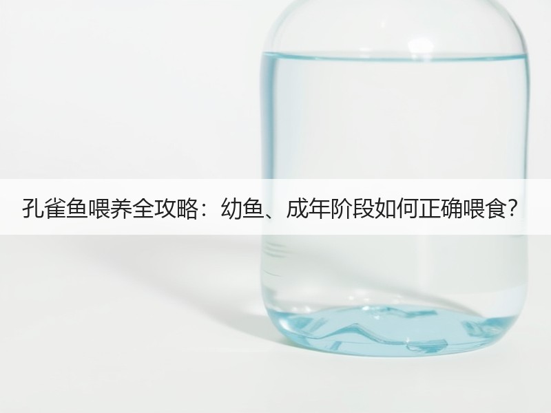 孔雀鱼喂养全攻略：幼鱼、成年阶段如何正确