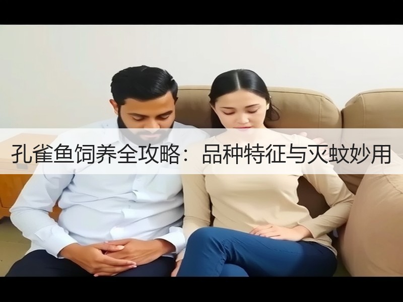 孔雀鱼饲养全攻略：品种特征与灭蚊妙用