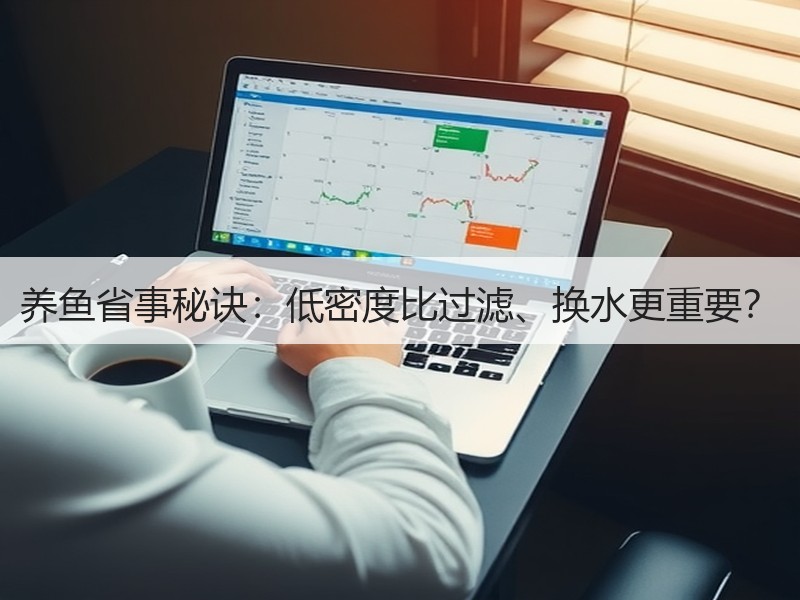 养鱼省事秘诀：低密度比过滤、换水更重要？