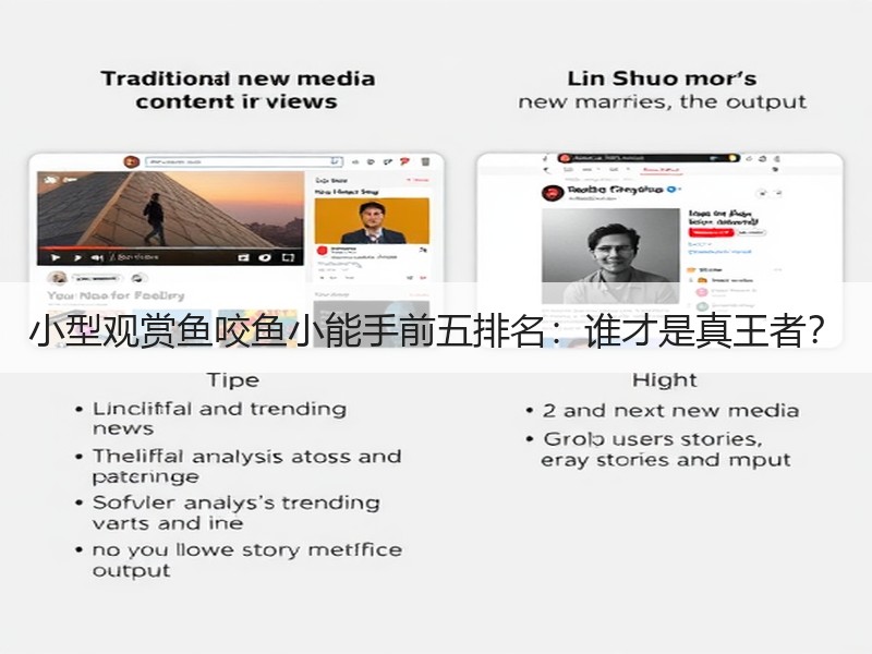 小型观赏鱼咬鱼小能手前五排名：谁才是真王