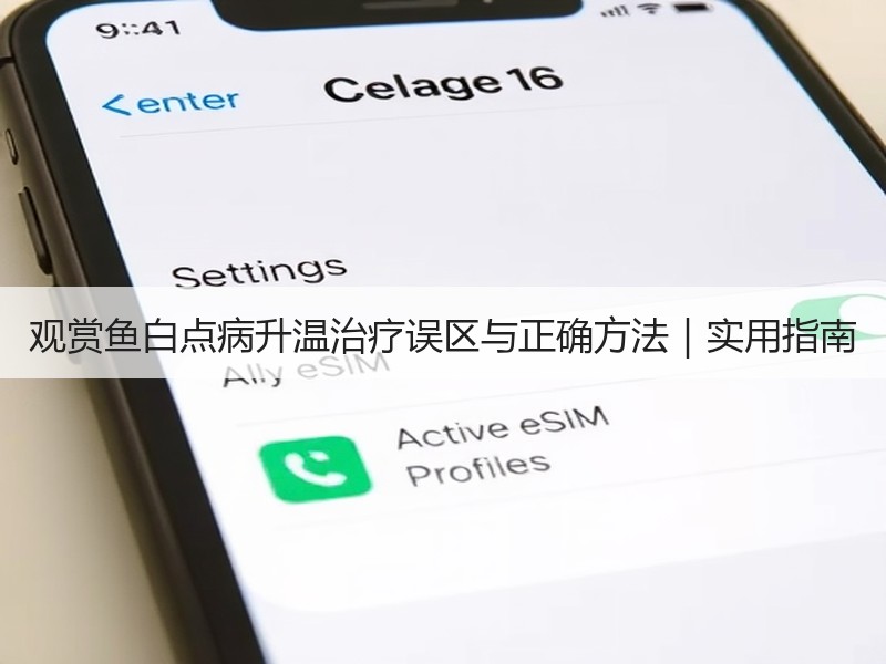 观赏鱼白点病升温治疗误区与正确方法｜实用