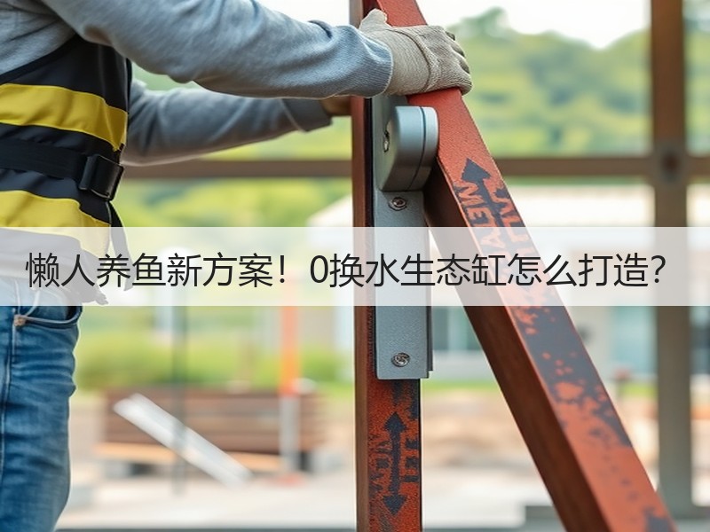 懒人养鱼新方案！0换水生态缸怎么打造？