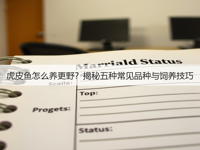 虎皮鱼怎么养更野？揭秘五种常见品种与饲养