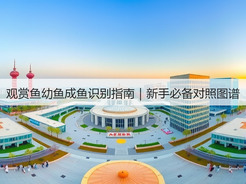 观赏鱼幼鱼成鱼识别指南｜新手必备对照图谱