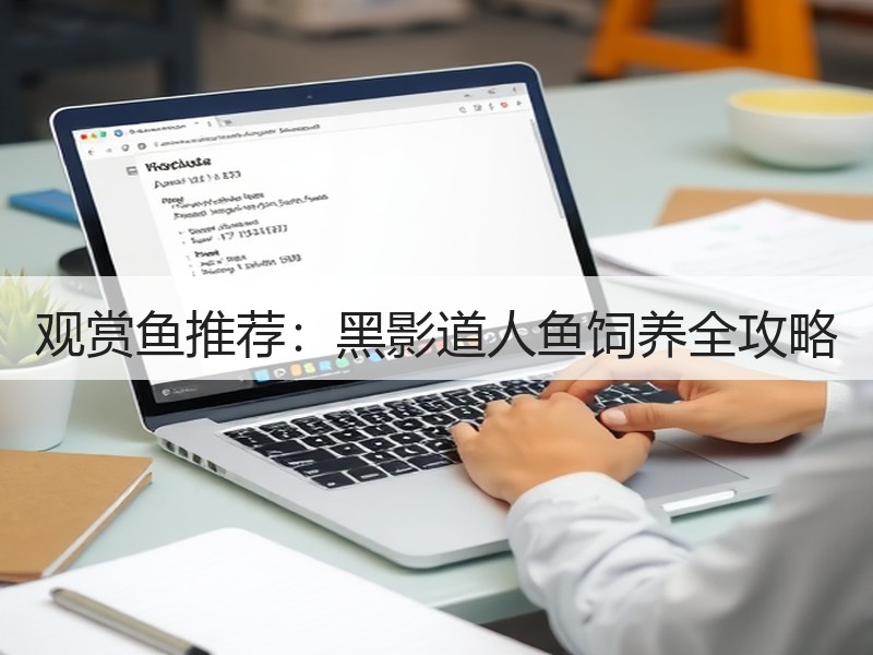 观赏鱼推荐：黑影道人鱼饲养全攻略