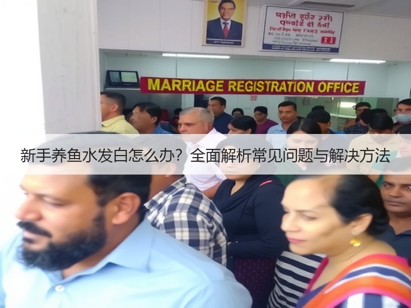 新手养鱼水发白怎么办？全面解析常见问题与