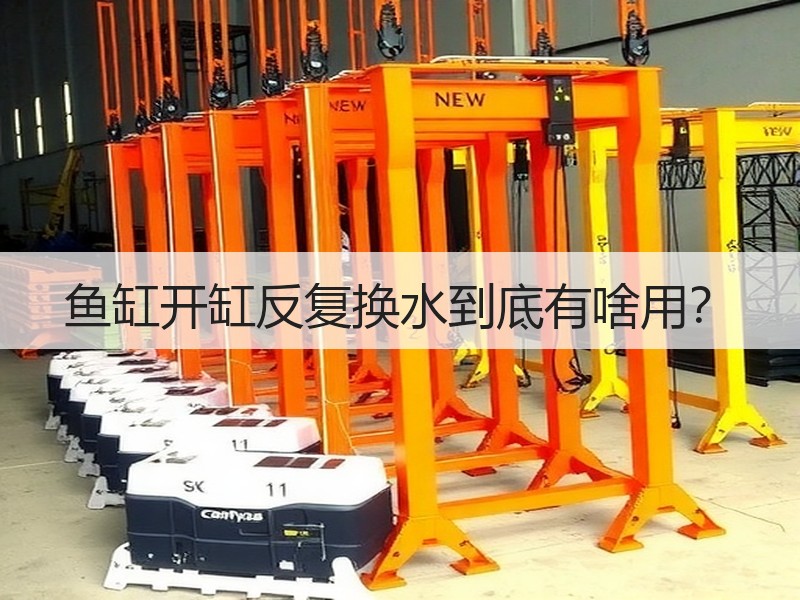 鱼缸开缸反复换水到底有啥用？