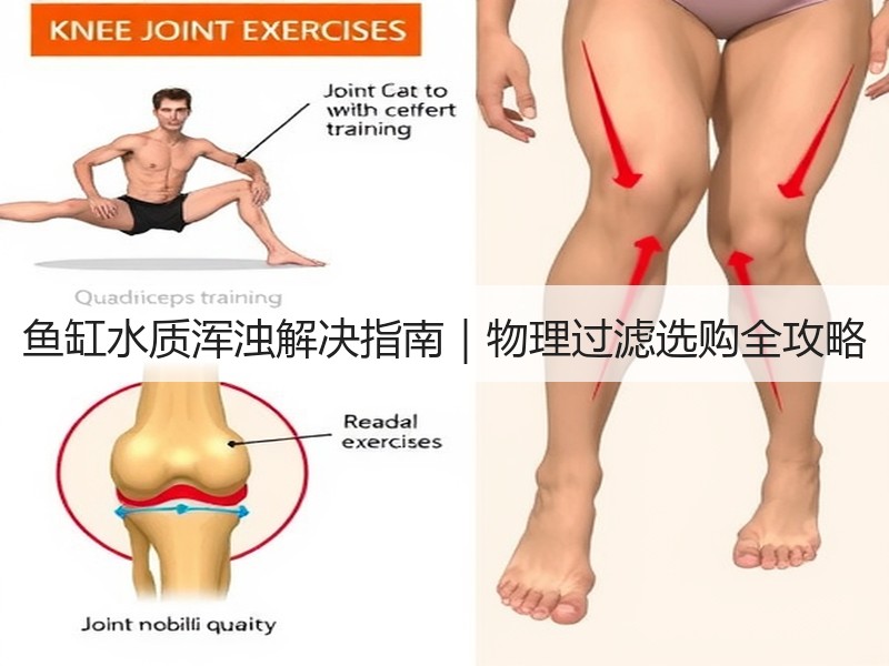 鱼缸水质浑浊解决指南｜物理过滤选购全攻略