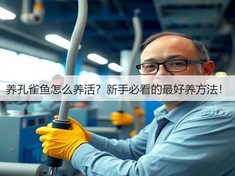 养孔雀鱼怎么养活？新手必看的最好养方法！