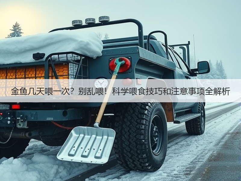 金鱼几天喂一次？别乱喂！科学喂食技巧和注