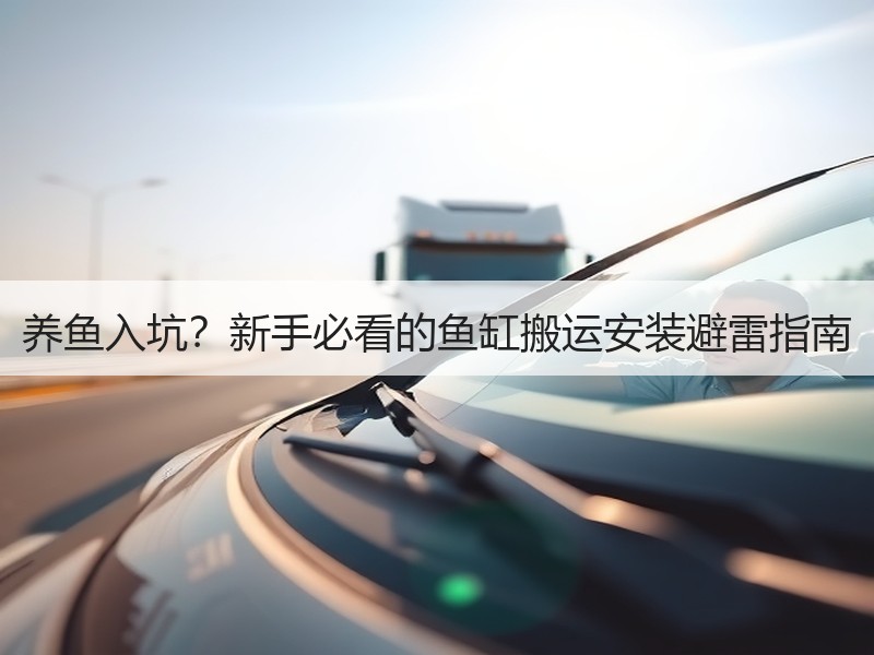 养鱼入坑？新手必看的鱼缸搬运安装避雷指南
