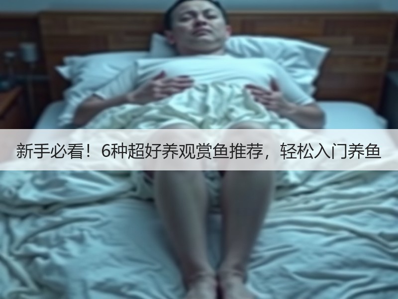 新手必看！6种超好养观赏鱼推荐，轻松入门