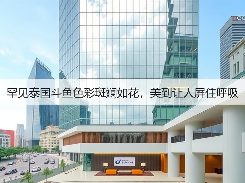 罕见泰国斗鱼色彩斑斓如花，美到让人屏住呼