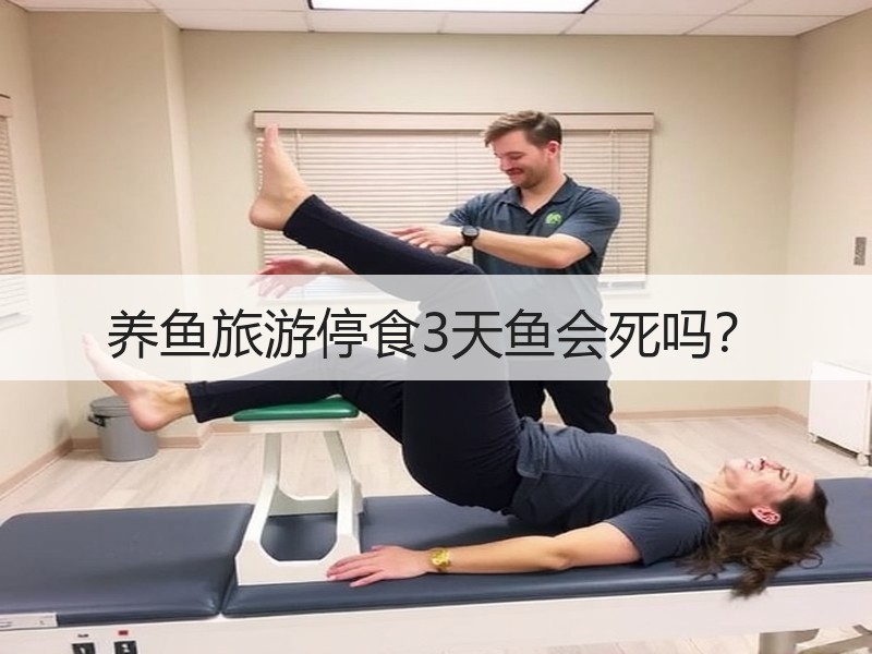 养鱼旅游停食3天鱼会死吗？