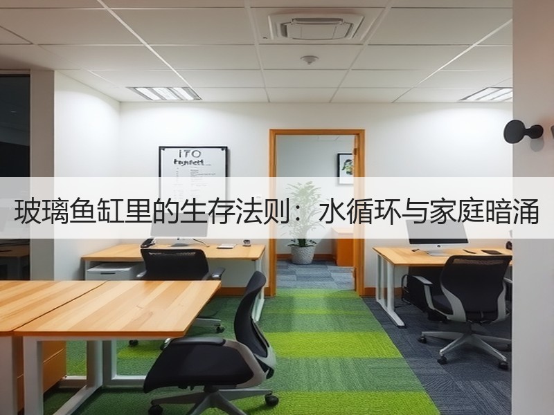 玻璃鱼缸里的生存法则：水循环与家庭暗涌